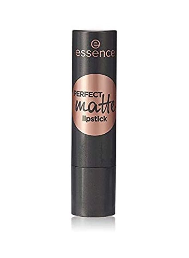 Perfect Matte Lipstick 04 Raise You Up