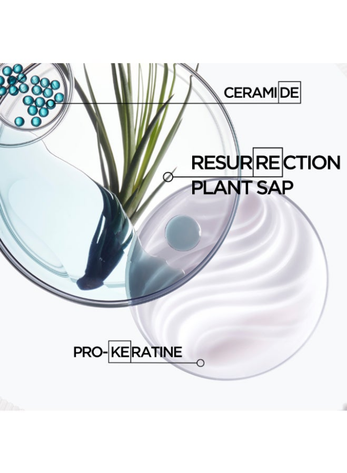 Resistance Bain Force Architecte Strengthening Shampoo Refill - 500ml