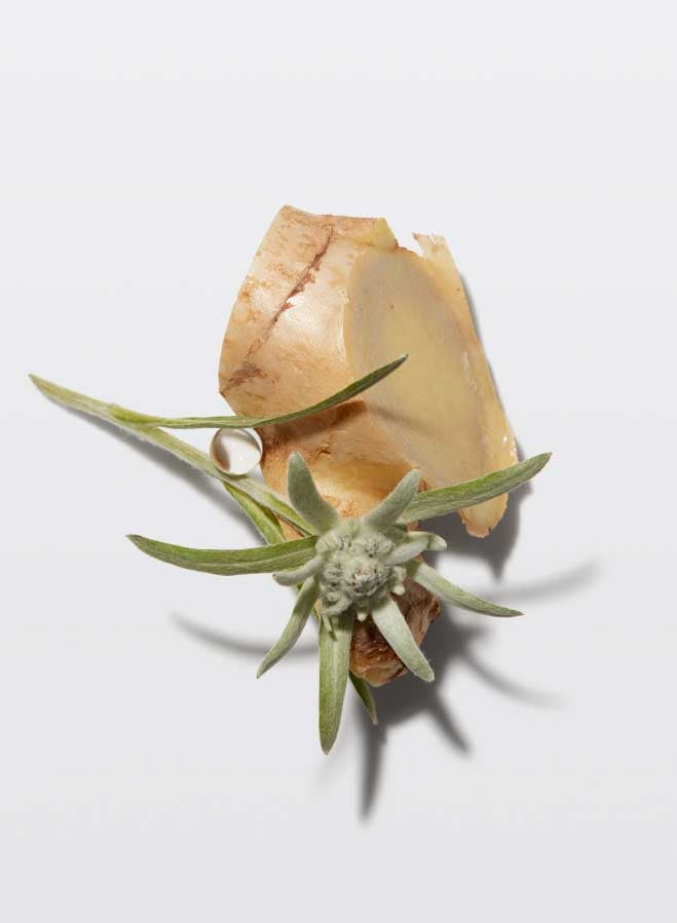 Genesis Serum Anti-Chute Fortifiant 90ml