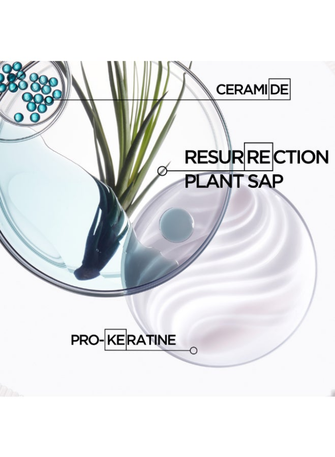 Resistance Bain Force Architecte Shampoo For Weak Hair - 500ml