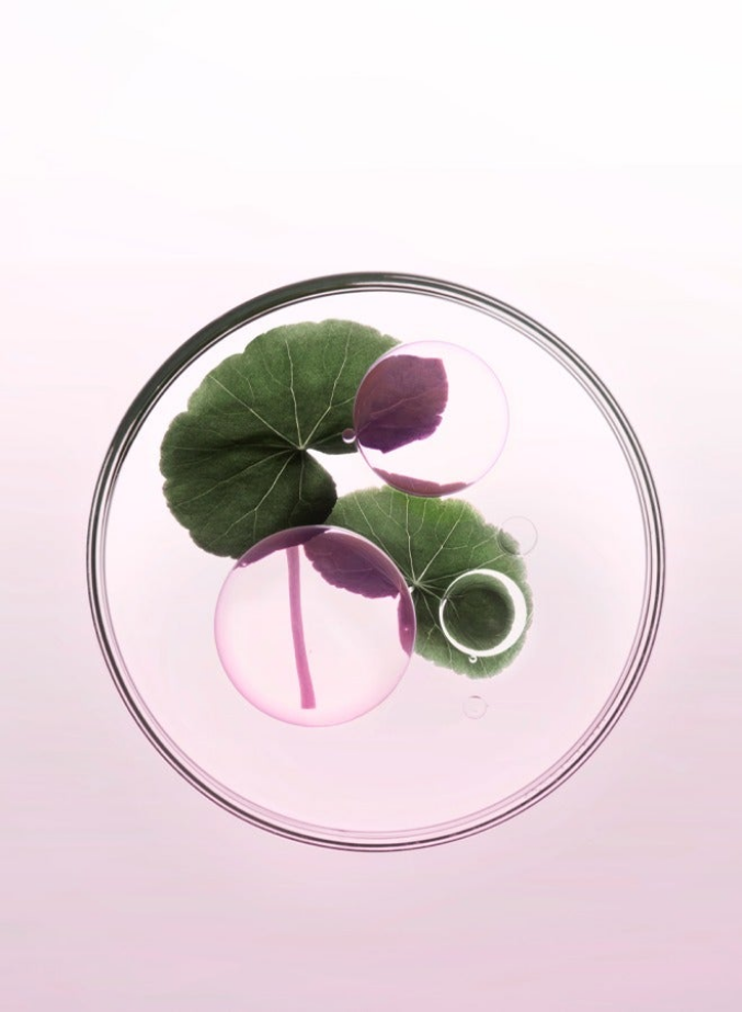 Chroma Absolu Hydrating Protective Shampoo 250ml